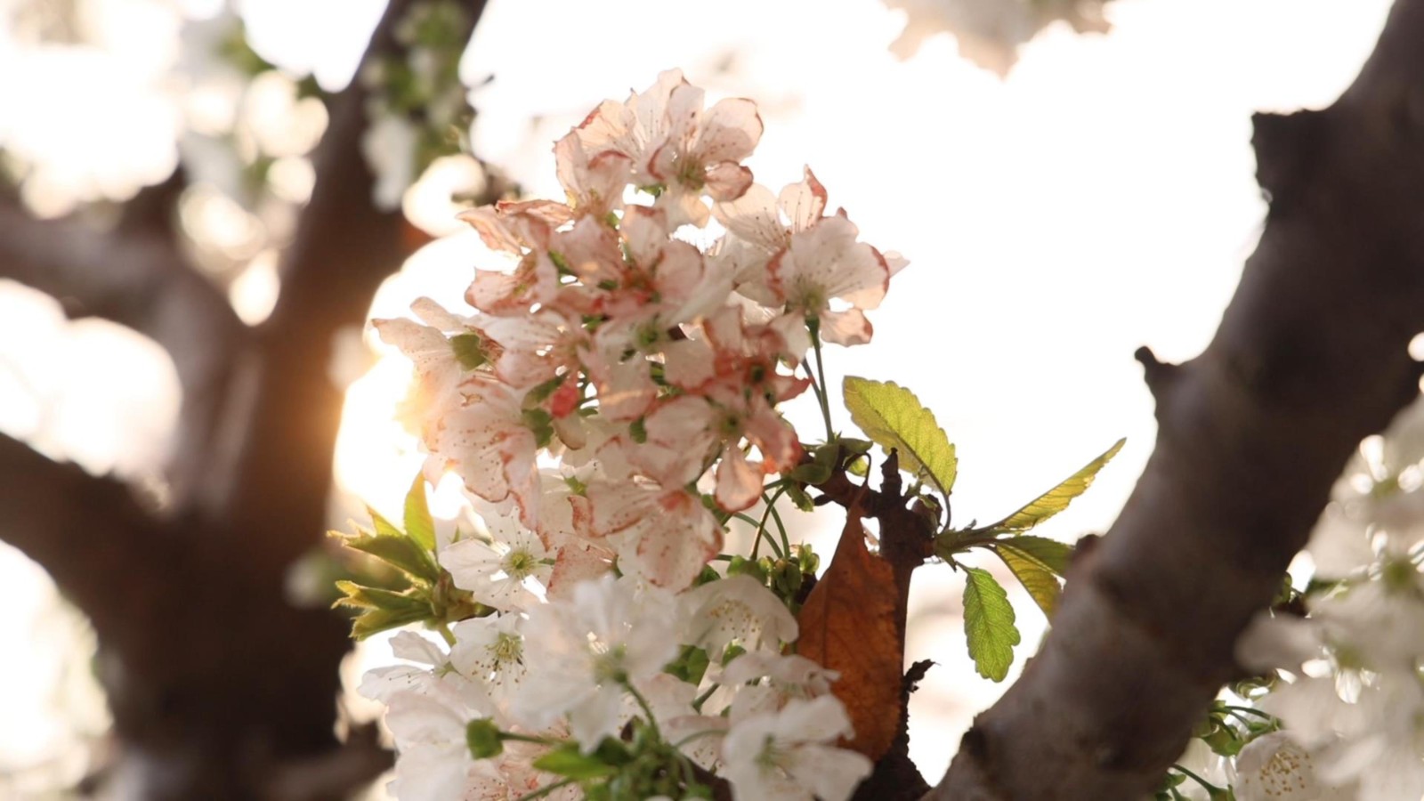 4月2日-封面